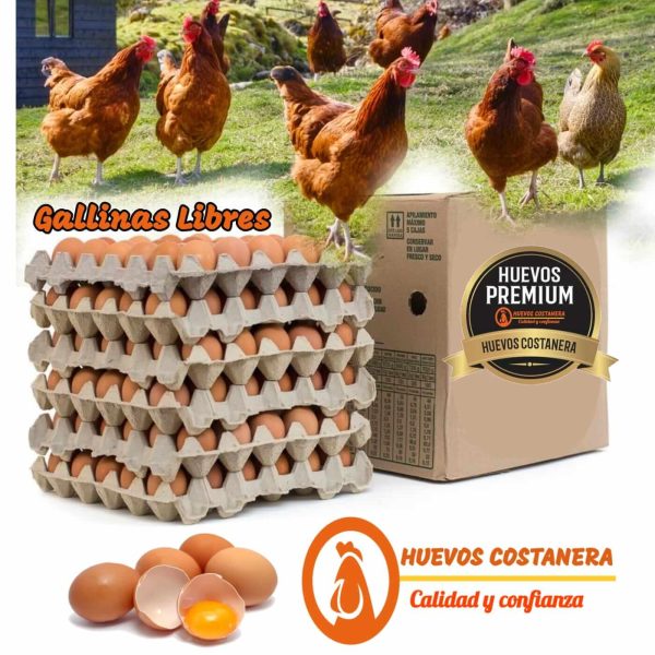 HUEVOS GALLINA LIBRE CAJA DE 6 BANDEJAS (30 UNI) – 180 UNIDADES