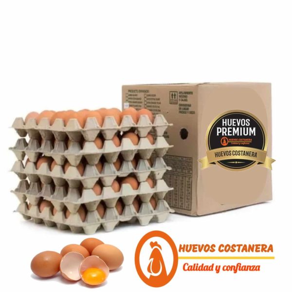 HUEVOS SUPER EXTRA COLOR CAJA DE 5 BANDEJAS (20 UNI) - 100 UNIDADES