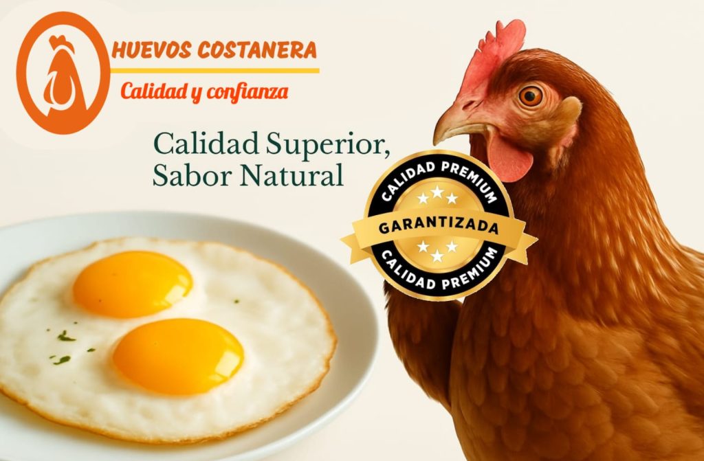 Imagen de WhatsApp 2025-07-11 a las 18.12.39_dc98043f